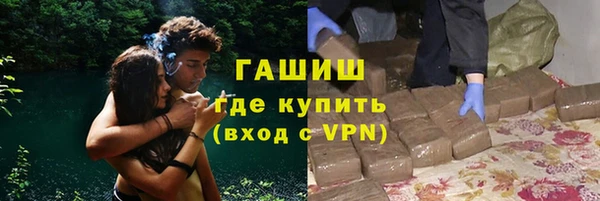 прущие грибы Магас