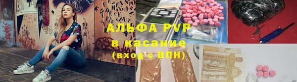 прущие грибы Магадан