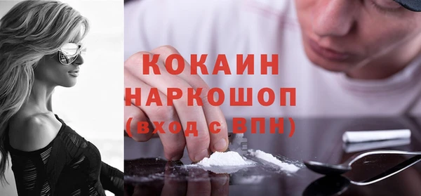 прущие грибы Магадан