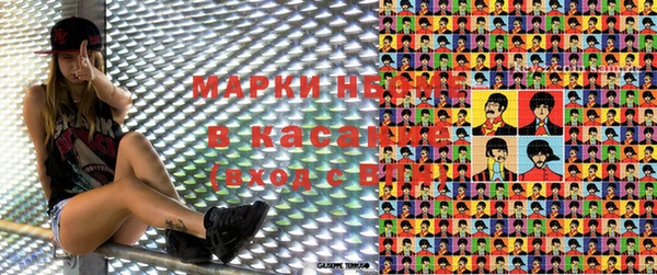 индика Мегион