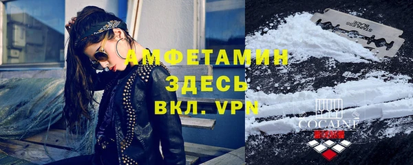 прущие грибы Магадан