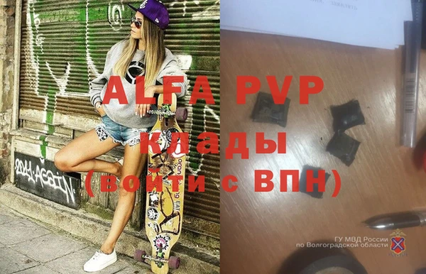 индика Мегион