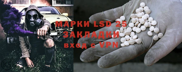 ПСИЛОЦИБИНОВЫЕ ГРИБЫ Медногорск