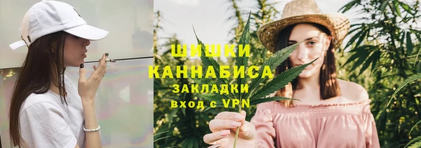 ПСИЛОЦИБИНОВЫЕ ГРИБЫ Медногорск