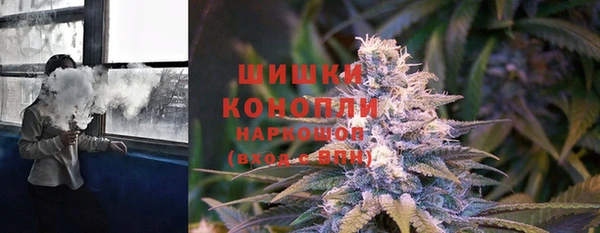 прущие грибы Магадан